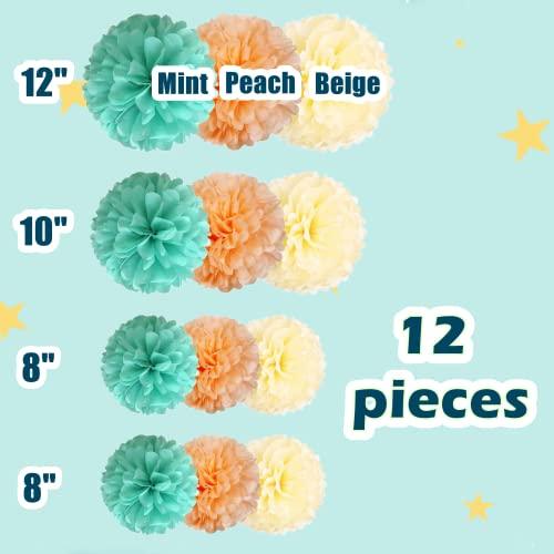 12 Pcs Tissue Pom Poms Decorations, Tissue Paper Flowers Kit for Birthday, Baby Shower, Classroom, Nursery, Graduation, Bridal Shower, Bachelorette Party (Mint Green, Peach, Beige Mixed) - Decotree.co Online Shop
