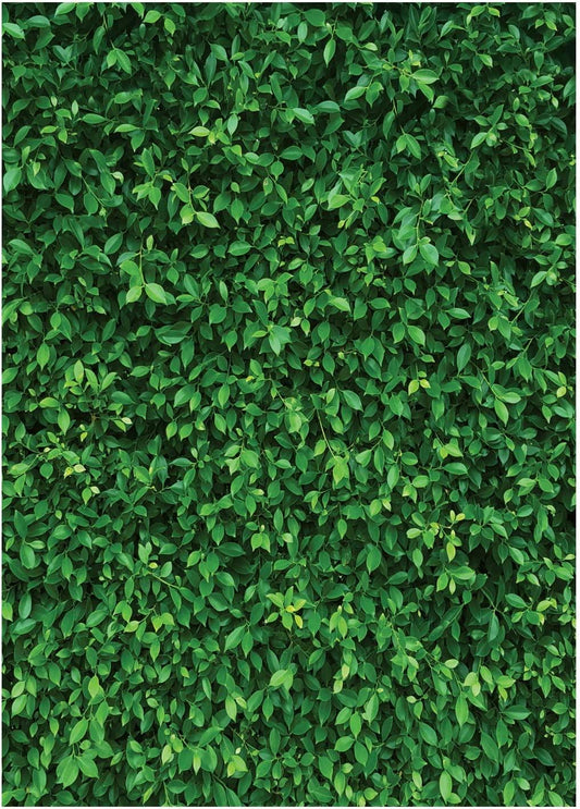 7x5FT Green Leaves Photography Backdrops Nature Backdrop Birthday Background - Decotree.co Online Shop