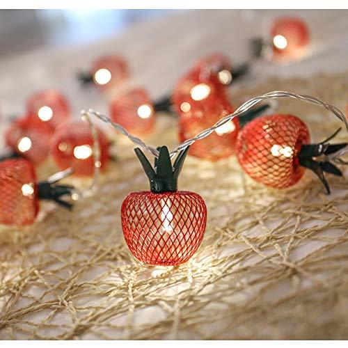10 LED Apple String Lights Metal Mesh Battery Operated Fairy String Lights for Bedroom Wedding Indoor Outdoor Home Party - Decotree.co Online Shop