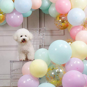 103pcs Pastel Balloon Garland Arch Kit 5" 12" 18 inch Macaron Color Pastel Party Balloons Set and Gold Confetti Balloons for Wedding Birthday - Decotree.co Online Shop