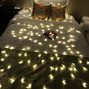 10FT Moon String Lights,Outdoor LED String Lights 20 LED lights for Wedding Garden Decoration - Decotree.co Online Shop