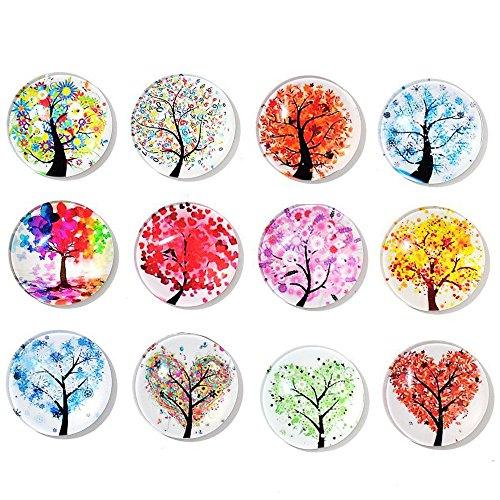 12 Fridge Magnets Kitchen Whiteboard Refrigerator Magnets Office Magnets 3D Funny Glass Magnets for Map, Home Decoration - Decotree.co Online Shop