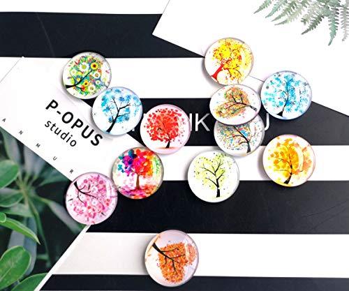 12 Fridge Magnets Kitchen Whiteboard Refrigerator Magnets Office Magnets 3D Funny Glass Magnets for Map, Home Decoration - Decotree.co Online Shop