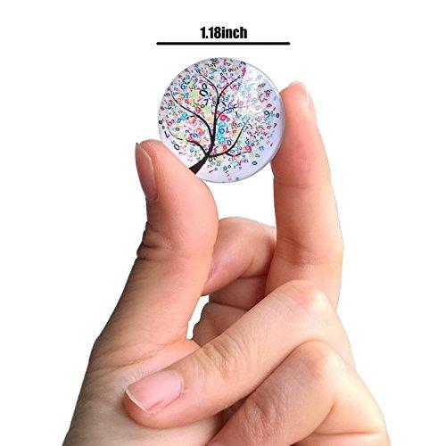 12 Fridge Magnets Kitchen Whiteboard Refrigerator Magnets Office Magnets 3D Funny Glass Magnets for Map, Home Decoration - Decotree.co Online Shop