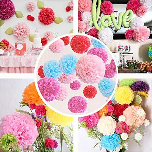 12 pcs Assorted Rainbow Colors Tissue Paper Pom Poms Flower Balls for Birthday Wedding Party Baby Shower Decorations - Decotree.co Online Shop