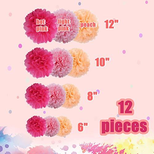 12 Pcs Paper Pom Poms Kit, Tissue Paper Flowers for Birthday, Wedding, Bachelorette, Baby Shower, Girl Nursery Decoration (Pink Mix) - Decotree.co Online Shop