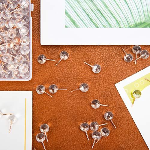 150PCS Push Pins, Rose Gold Map Thumb Tacks, Large Size Pins - Decotree.co Online Shop