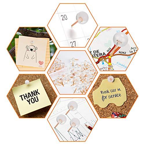 150PCS Push Pins, Rose Gold Map Thumb Tacks, Large Size Pins - Decotree.co Online Shop