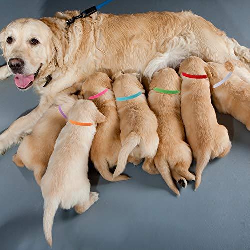 20 Colors Puppy Whelping Collars Double-Sided Adjustable ID Collars for Dogs - Decotree.co Online Shop