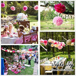 20 Pcs Paper Pom Poms Kit, Tissue Paper Flowers for Birthday, Wedding, Bachelorette, Baby Shower, Girl Nursery Decoration (Pink Mix) - Decotree.co Online Shop