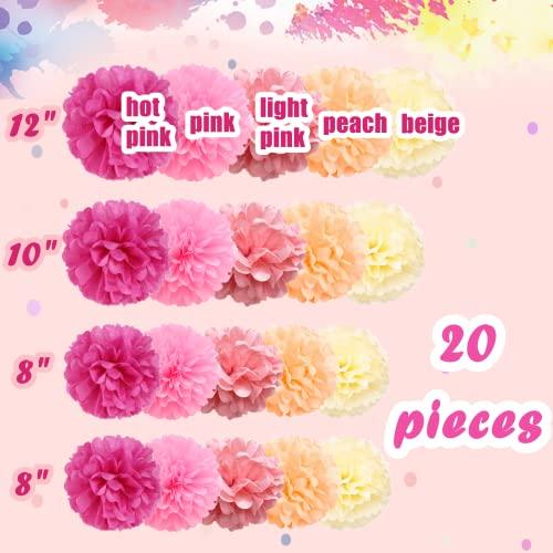 20 Pcs Paper Pom Poms Kit, Tissue Paper Flowers for Birthday, Wedding, Bachelorette, Baby Shower, Girl Nursery Decoration (Pink Mix) - Decotree.co Online Shop