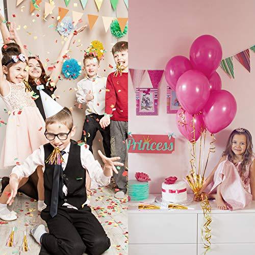 24 Pieces Glitter Metallic Fringed Noise Maker Musical Blowouts Whistle Fringed Party Blower for Kids Birthday Baby Shower New Year Party Favor Supplies - Decotree.co Online Shop