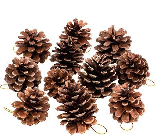 25 Pcs Christmas Natural Pine Cones, Rustic Pinecones Bulk Ornaments with String for Crafting for Home Accent Decor, Fall Thanksgiving Tree Decor - Decotree.co Online Shop