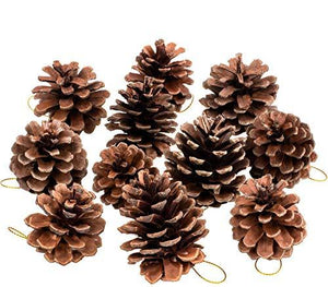 25 Pcs Christmas Natural Pine Cones, Rustic Pinecones Bulk Ornaments with String for Crafting for Home Accent Decor, Fall Thanksgiving Tree Decor - Decotree.co Online Shop