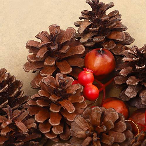 25 Pcs Christmas Natural Pine Cones, Rustic Pinecones Bulk Ornaments with String for Crafting for Home Accent Decor, Fall Thanksgiving Tree Decor - Decotree.co Online Shop
