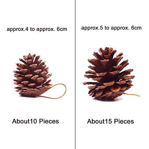 25 Pcs Christmas Natural Pine Cones, Rustic Pinecones Bulk Ornaments with String for Crafting for Home Accent Decor, Fall Thanksgiving Tree Decor - Decotree.co Online Shop