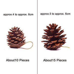 25 Pcs Christmas Natural Pine Cones, Rustic Pinecones Bulk Ornaments with String for Crafting for Home Accent Decor, Fall Thanksgiving Tree Decor - Decotree.co Online Shop
