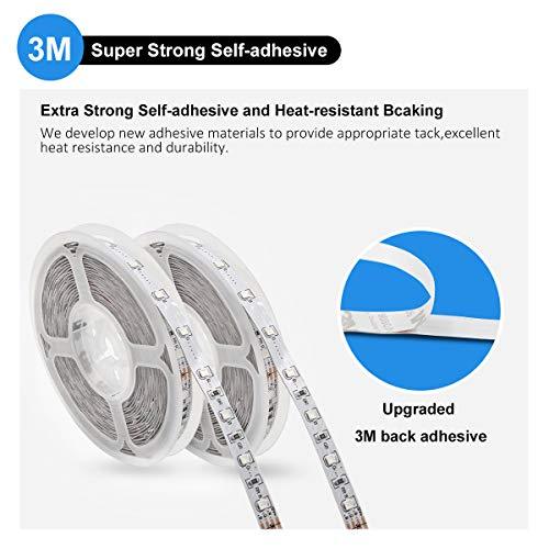 3528 Led Strip Lights Color Changing with 24 Key Remote and Power Supply - Decotree.co Online Shop