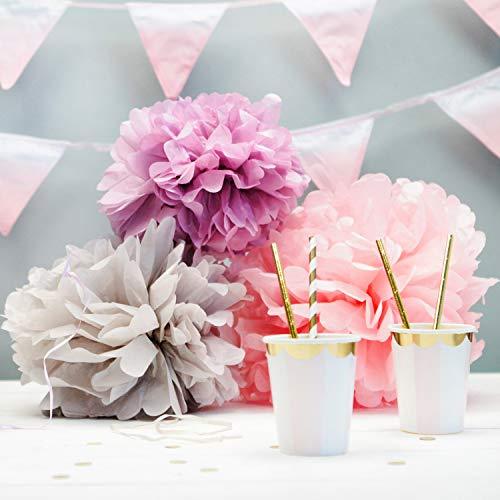 12 pcs Assorted Rainbow Colors Tissue Paper Pom Poms Flower Balls for Birthday Wedding Party Baby Shower Decorations - Decotree.co Online Shop