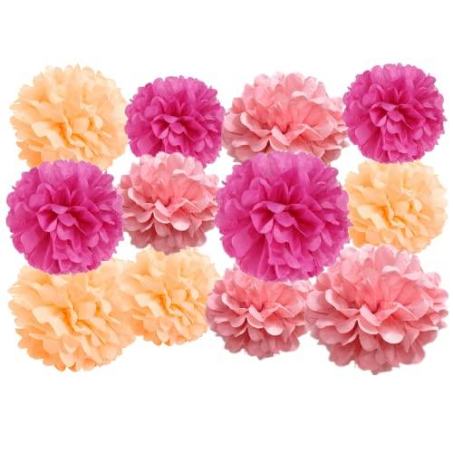 12 Pcs Paper Pom Poms Kit, Tissue Paper Flowers for Birthday, Wedding, Bachelorette, Baby Shower, Girl Nursery Decoration (Pink Mix) - Decotree.co Online Shop