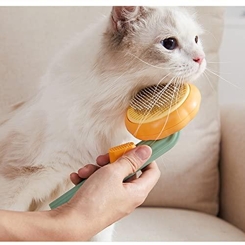Pet Pumpkin Brush for Cats Dogs, Pet Hair Brush for Shedding and Grooming - Decotree.co Online Shop
