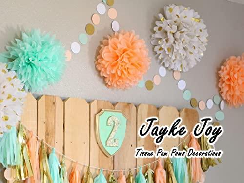 20 Pcs Tissue Pom Poms Decorations, Tissue Paper Flowers Kit for Birthday, Baby Shower, Classroom, Nursery, Graduation, Bridal Shower Party (Mint, Peach, Beige, Glittered Gold Polka Dots Mixed) - Decotree.co Online Shop
