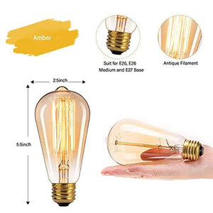Edison Light Bulbs, 6Pcs Vintage 60 Watt Incandescent Light Bulbs - Decotree.co Online Shop
