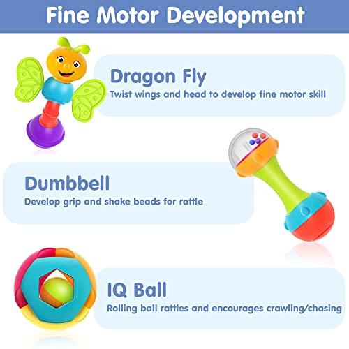 10pcs Baby Rattles Toys Set, Infant Grab N Shake Rattle, Sensory Teether, Early Development Learning Music Toy, Newborn Birthday Gifts for 0 1 2 3 4 5 6 7 8 9 10 12 Month Babies Boy Girl - Decotree.co Online Shop