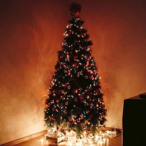 50Ft G40 Globe Patio String Lights with 50 Transparent Multicolor G40 Bulbs, UL Listed Hanging Indoor/Outdoor Christmas String Lights - Decotree.co Online Shop