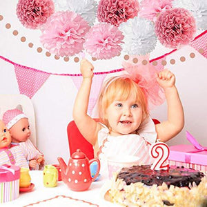 Pink Rose Gold Birthday Party Decorations Set, Rose Gold Glittery Happy Birthday banner, Tissue Paper Pom, Circle Dots Garland - Decotree.co Online Shop