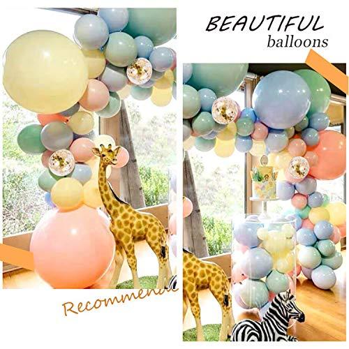 103pcs Pastel Balloon Garland Arch Kit 5" 12" 18 inch Macaron Color Pastel Party Balloons Set and Gold Confetti Balloons for Wedding Birthday - Decotree.co Online Shop