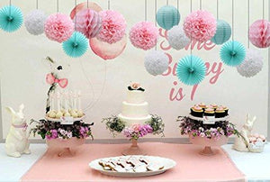 Teal Party Supplies for Bridal Baby Shower First Birthday Party Wedding Decorations (16pcs) - Decotree.co Online Shop