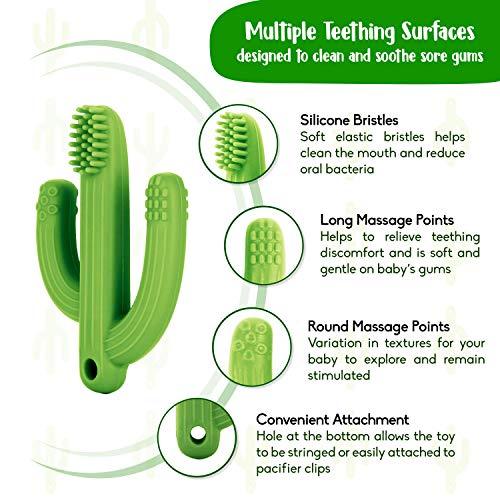 Cactus Baby Teething Toys for Newborn Infants and Toddlers - Self-Soothing Pain Relief Soft Silicone Teether - Decotree.co Online Shop