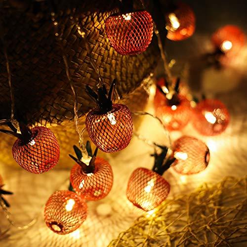10 LED Apple String Lights Metal Mesh Battery Operated Fairy String Lights for Bedroom Wedding Indoor Outdoor Home Party - Decotree.co Online Shop