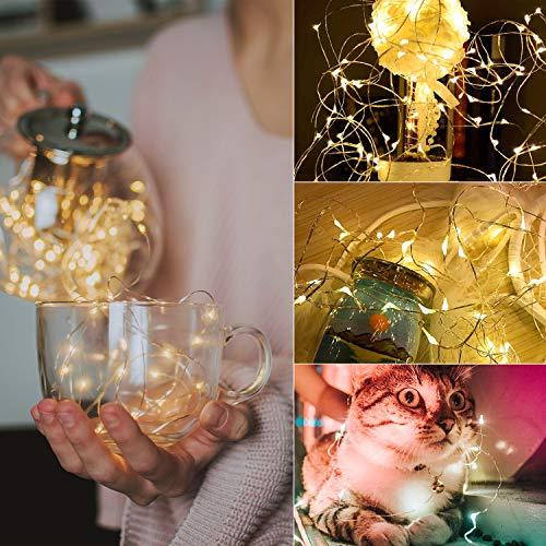 Battery-Operated LED Fairy Lights on Silver Wire