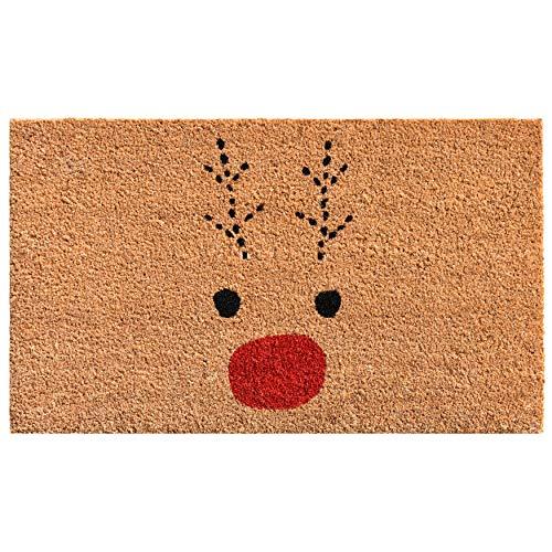 Rudolph Doormat for Christmas, Gift for Friends, Lovely doormat for Any Season - Decotree.co Online Shop