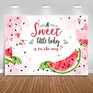 Pink Watermelon Baby Shower Backdrop Summer One in A Melon Watercolor Watermelon Theme Photography Background - Decotree.co Online Shop