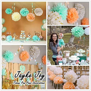 20 Pcs Tissue Pom Poms Decorations, Tissue Paper Flowers Kit for Birthday, Baby Shower, Classroom, Nursery, Graduation, Bridal Shower Party (Mint, Peach, Beige, Glittered Gold Polka Dots Mixed) - Decotree.co Online Shop