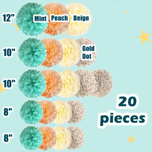 20 Pcs Tissue Pom Poms Decorations, Tissue Paper Flowers Kit for Birthday, Baby Shower, Classroom, Nursery, Graduation, Bridal Shower Party (Mint, Peach, Beige, Glittered Gold Polka Dots Mixed) - Decotree.co Online Shop