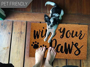 Coco Coir Door Mat with Heavy Duty Backing, Wipe Your Paws Doormat, 16”x24inch Size, Easy to Clean Entry Mat, Beautiful Color and Sizing for Outdoor and Indoor uses - Decotree.co Online Shop