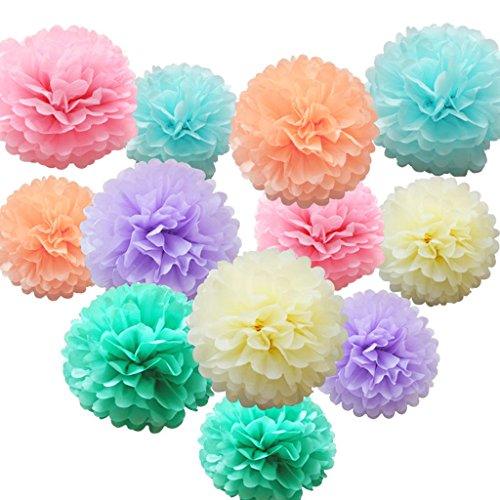 12 pcs Assorted Rainbow Colors Tissue Paper Pom Poms Flower Balls for Birthday Wedding Party Baby Shower Decorations - Decotree.co Online Shop