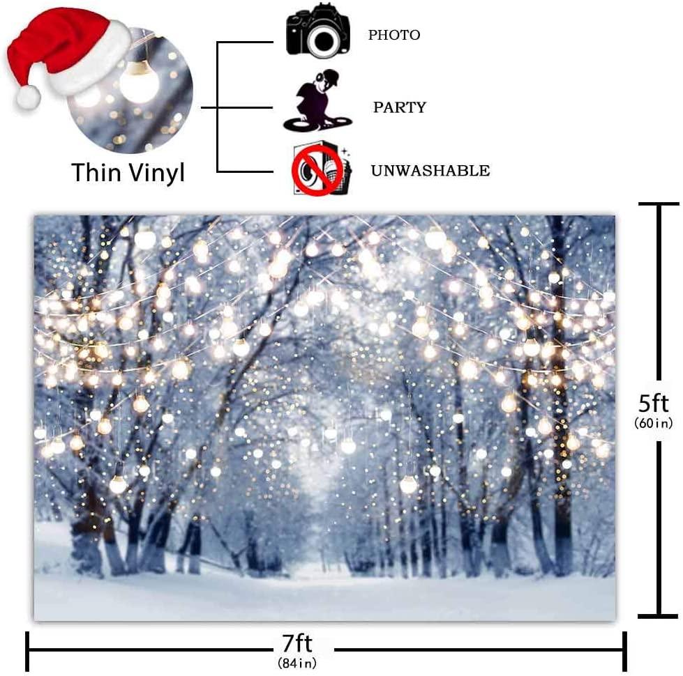 Winter Scene Backdrop Wonderland Snowflake Photography Background - Decotree.co Online Shop