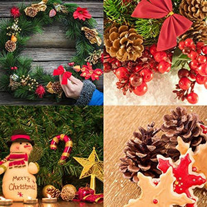 25 Pcs Christmas Natural Pine Cones, Rustic Pinecones Bulk Ornaments with String for Crafting for Home Accent Decor, Fall Thanksgiving Tree Decor - Decotree.co Online Shop