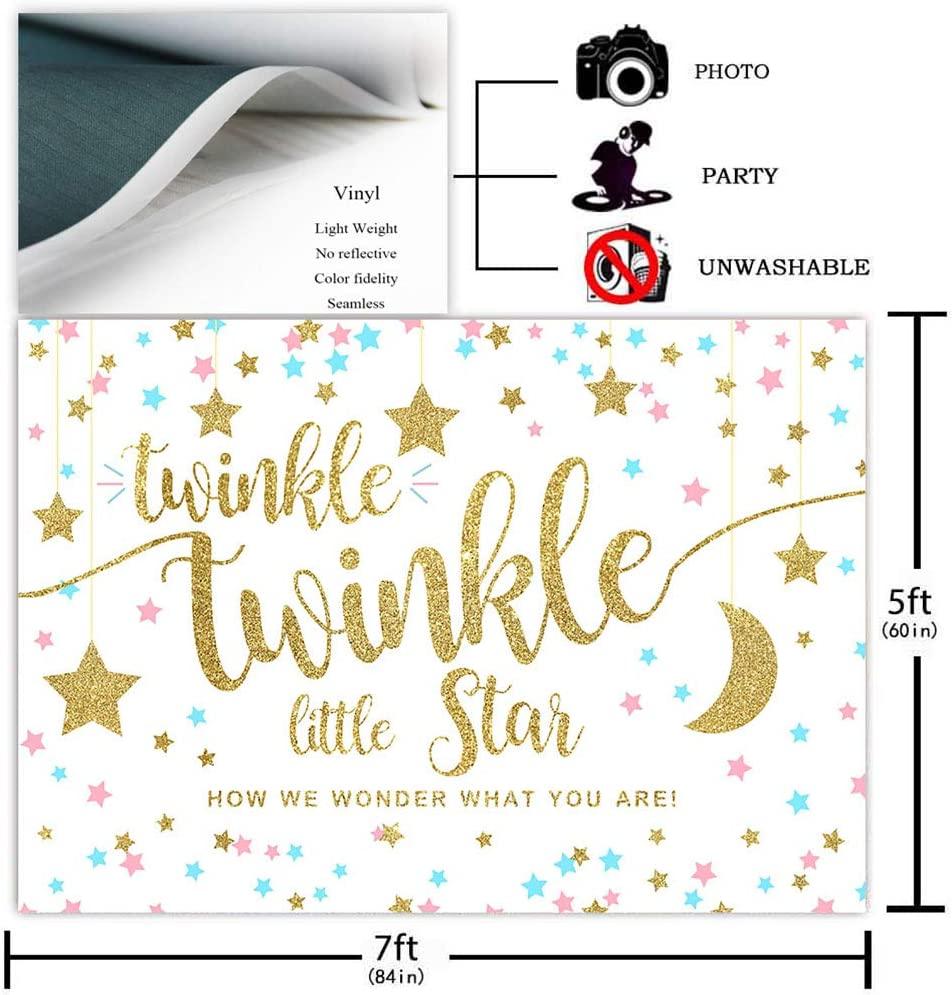 Twinkle Twinkle Little Star Gender Reveal Backdrop Pink Blue Gold Star Party Decorations - Decotree.co Online Shop