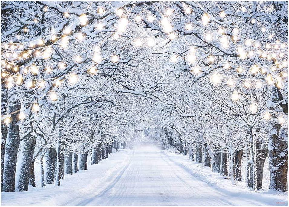 7x5FT Glitter Winter Forest Photography Backdrop Sparkle Snow Natural Scenery Landscape - Decotree.co Online Shop