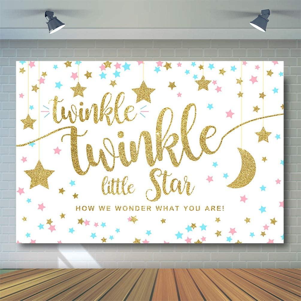 Twinkle Twinkle Little Star Gender Reveal Backdrop Pink Blue Gold Star Party Decorations - Decotree.co Online Shop