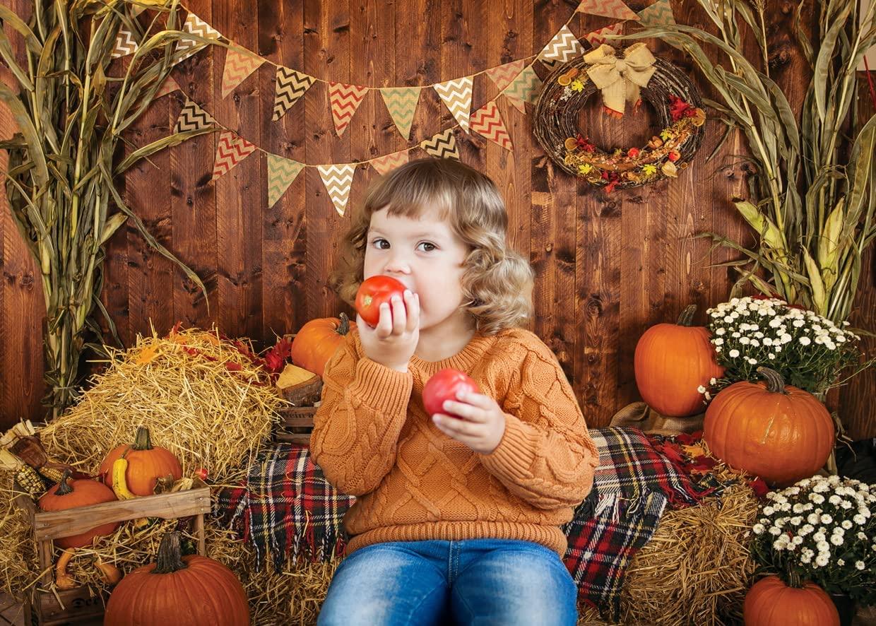 7x5FT Fall Thanksgiving Photo Backdrop Rustic Wood Board Barn Harvest Photography Background - Decotree.co Online Shop
