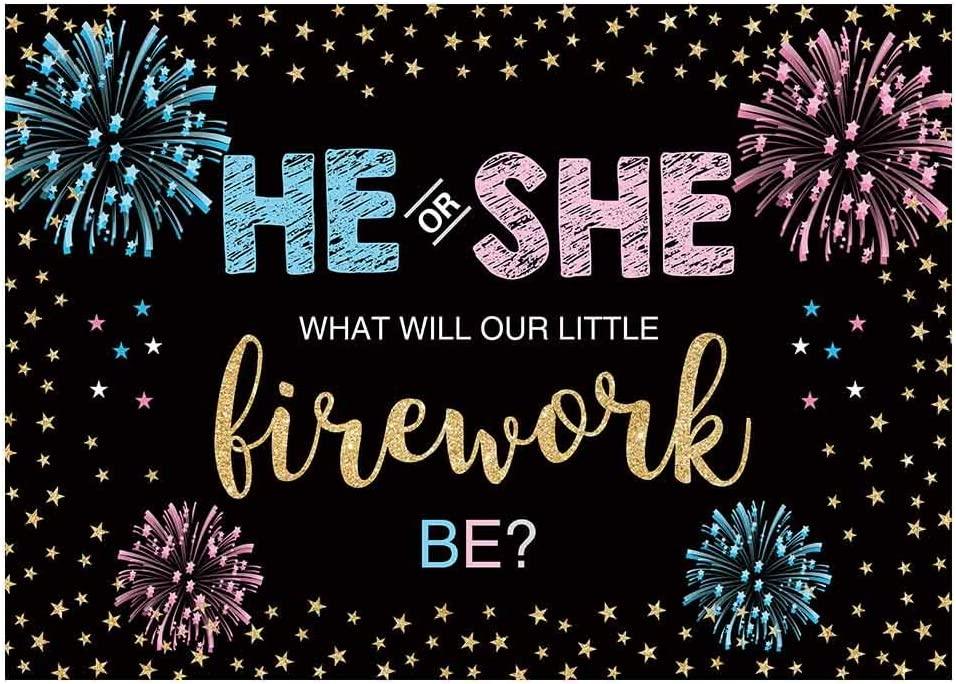 7x5FT Gender Reveal Backdrop He or She Party Fourth of July Blue or Pink Boy or Girl Banner Decoration - Decotree.co Online Shop