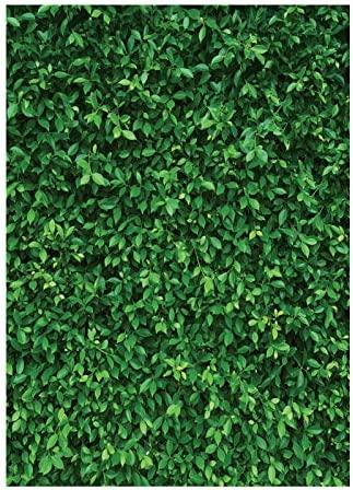 7x5FT Green Leaves Photography Backdrops Nature Backdrop Birthday Background - Decotree.co Online Shop
