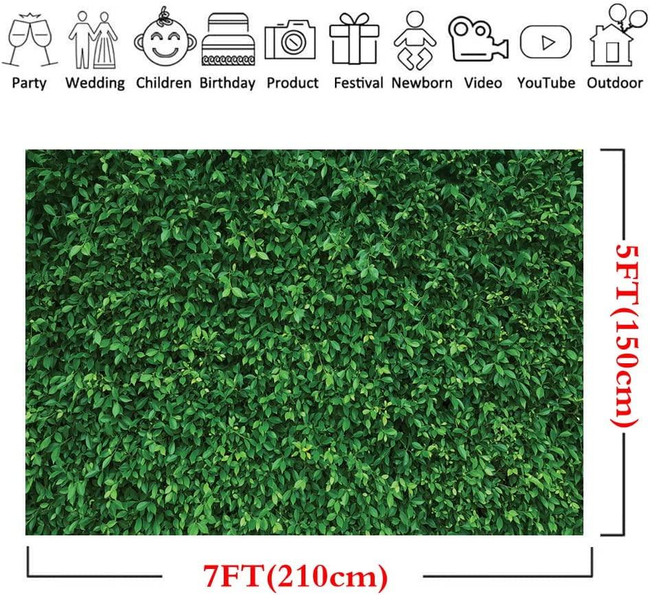 7x5FT Green Leaves Photography Backdrops Nature Backdrop Birthday Background - Decotree.co Online Shop